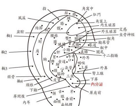 耳內有痣|耳朵痣位置：影響健康？